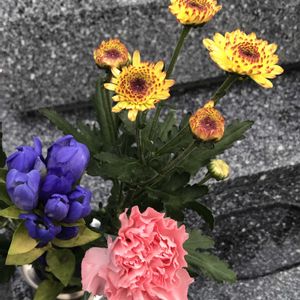 カーネーション,カーネーション,リンドウ,リンドウ,スプレーマムの画像