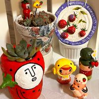 エケベリア,オリオン,オリオン,リメ鉢,毎月15日はいちごの日の画像