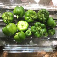 ピーマン,ベランダ菜園,南西向きベランダ,６階ベランダ,ベランダの画像