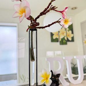 プルメリア,花芽,花のある暮らし,熱帯植物,元気に育ててますよの画像