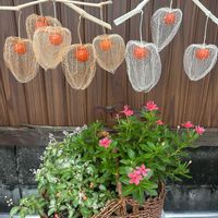 ホオズキ,透かしホオズキ,ジュズサンゴ　絣,愛の花♡,ありがとうの花❣️の画像