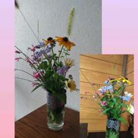 アゲラタム,ガウラ,ガザニア,ルドベキア,ネコジャラシの画像