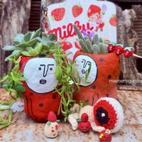 白檀,ヌビゲナム,寄せ植え,多肉植物,『白檀愛好会』の画像