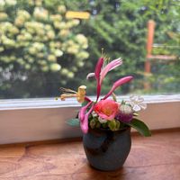花のある暮らし,緑のある暮らし,アメリカ在住,sasukemama倶楽部,ikebana in USAの画像