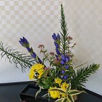 リンドウ,生け花,旅行先,過去pic,今日のお花の画像