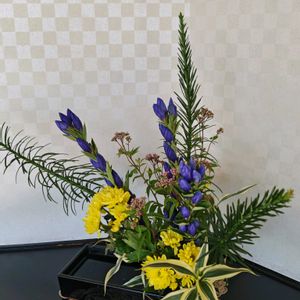 リンドウ,生け花,旅行先,過去pic,今日のお花の画像
