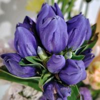 リンドウ,リンドウ（竜胆）,秋の気配,かわいい花,切り花を楽しむの画像