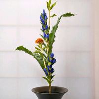 ケイトウ,リンドウ,タニワタリ,切り花,華道の画像