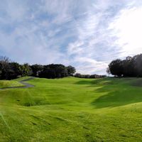 ススキ,エゾシカ,リージェントトムソン⛳️の画像