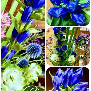 リビング,誕生日プレゼント,お花大好き,今日のお花❣️,ウォーキングの楽しみの画像