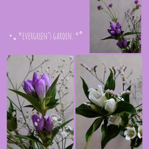 リンドウ,竜胆,りんどう,紫の花,花瓶の花の画像