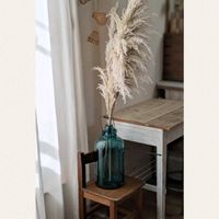 パンパスグラス,グリーンのある暮らし,雑貨好き,お花のある暮らし,古道具と植物の画像