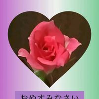 ミニバラ,スマホ撮影,今日も笑顔で♡,いつもありがとう❤️,今を生きるの画像