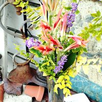 カンナ,可愛い,庭の花,癒し,花のある暮らしの画像