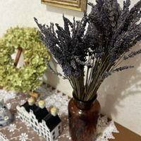 ラベンダー,ラベンダーのドライフラワー,真珠の耳飾りの少女✨,ドライフラワー,フェルメール展の画像