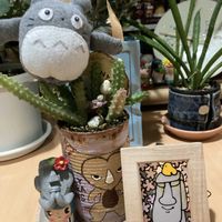 ベランダー,多肉女子,GS植物うちなーぐち会,まつぴよさんｿｯｸｽﾌｧﾐﾘｰ♥️,毎月16日はトトロの日の画像