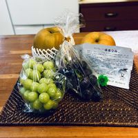 花のある暮らし,秋の気配,緑のある暮らし,秋の実,GSに感謝。の画像