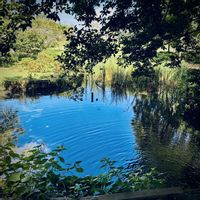 花のある暮らし,秋の気配,緑のある暮らし,GSに感謝。,平和を願うの画像