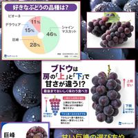 巨峰,ブドウ,ぶどう,チーム新潟,最後までおいしく味わう食べ方！の画像
