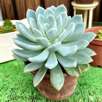ベランダの画像