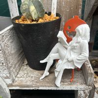 ランポー,斑入り。,斑入り好き♡,イーオンナ美人の日,かわちいの画像