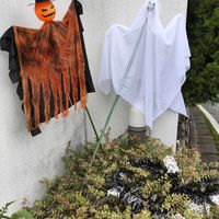 ダリア,ハイビスカス,ダイソー,ハロウィーン,玄関アプローチの画像