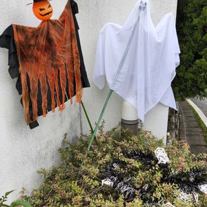 ダリア,ハイビスカス,ダイソー,ハロウィーン,玄関アプローチの画像