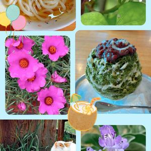 花のある暮らし,iPhone撮影,癒される♡,世界平和,うどん県西支部の画像