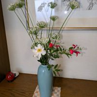 玄関,玄関内側の画像