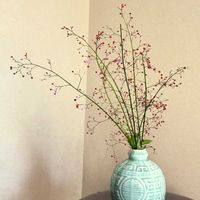金木犀,三時草の画像