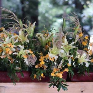 花のある暮らし,緑のある暮らし,HTC,埼玉県さいたま市,信楽狸倶楽部の画像