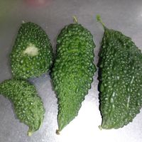 家庭菜園の画像