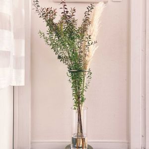 ドライフラワー,切り花,生花,枝もの,お花の定期便の画像