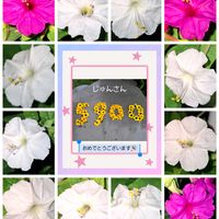 オシロイバナ,癒し…♡,すてき…♡,か〜わい〜,コラージュ仲間達の画像