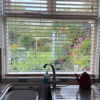 イギリス,きれいな色,植物のある暮らし,キッチン,テラスの画像