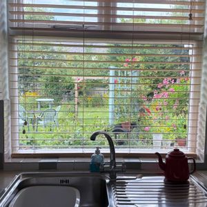 イギリス,きれいな色,植物のある暮らし,キッチン,テラスの画像