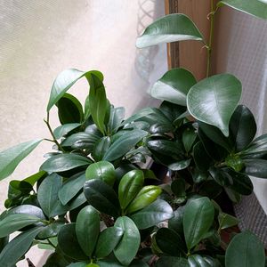 部屋の画像