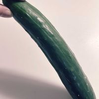 キュウリ,キュウリ,キュウリ,キュウリ,おおきくなあれの画像