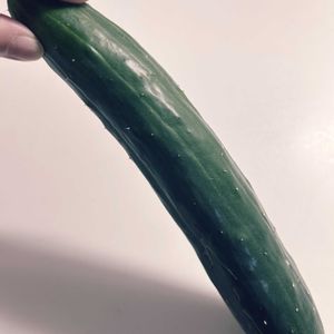 キュウリ,キュウリ,キュウリ,キュウリ,おおきくなあれの画像