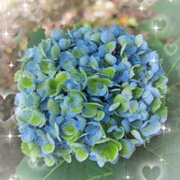 ススキ,大人の着せ替え人形,GSのみなさんに感謝♡,素敵な出会いに感謝,GSの繋がりに感謝♡の画像