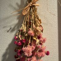 センニチコウ,ドライフラワー,いつもありがとう♡,花日記,ユーミンつながりの画像
