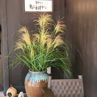 ススキ,モミジ,萩の花,GSのみなさんに感謝♡,素敵な出会いに感謝の画像