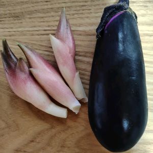 サルスベリ,ナス,ミョウガ,植物のある暮らし,テラスの画像