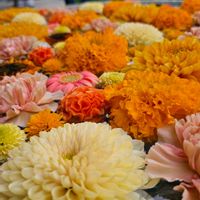 カーネーション,ガーベラ,キク,マリーゴールド,花手水の画像