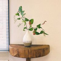 ジュズサンゴ,ジュズサンゴ,可愛い,GS映え,手作り花瓶の画像