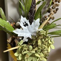 ハロウィン,ドライフラワーのある暮らしの画像