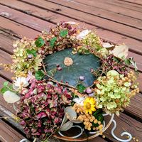ミモザ,かぼちゃ,ピラミッド紫陽花,ドライフラワー,可愛いの画像