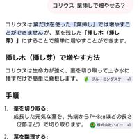 コリウス ときめきリンダ,コリウス ロイヤリティ,葉挿し,和室,ベランダの画像