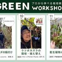 イベント,ワークショップ ,海洋博公園熱帯ドリームセンター,GREEN CHAMPROOの画像