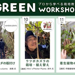 イベント,ワークショップ ,海洋博公園熱帯ドリームセンター,GREEN CHAMPROOの画像
